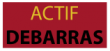 logo de l'article Actif Débarras