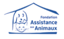 Fondation Assistance Aux Animaux